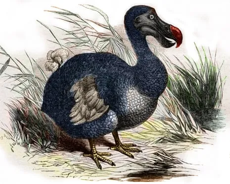 Researchers Claim They’ve Made a ‘Major Breakthrough’ in Resurrecting the Extinct Bird for the First Time in 300 Years